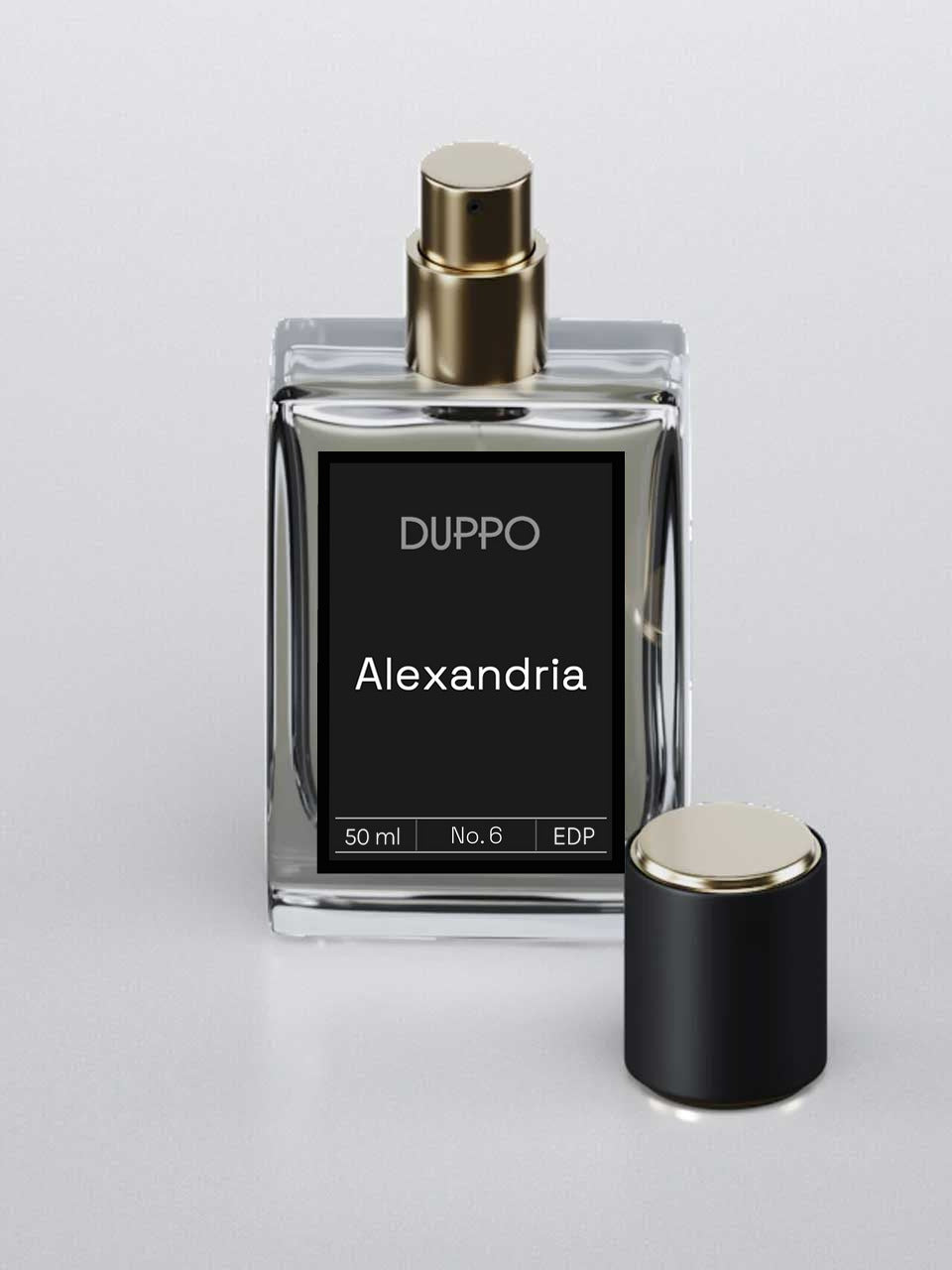 No. 6 — Alexandria